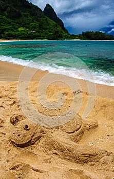 Beautiful, serene scene of a sandy beach with a sand turtle next to turquoise-blue waters
