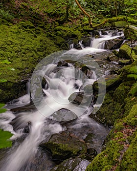 Beautiful serene waterfall cascading through lush green foliage. Ceunant Mawr Waterfall in North Wales