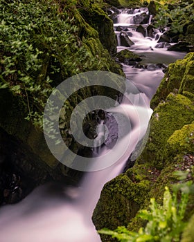 Beautiful serene waterfall cascading through lush green foliage. Llanberis Falls in North Wales