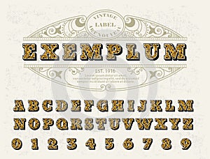 Beautiful set of capital letters, vintage Victorian style font with a floral ornament. For your logos, monograms, labels