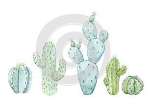 Beautiful set with hand drawn watercolor cactus. Stock illustration.