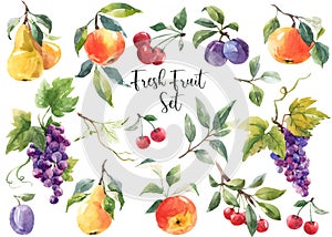 Beautiful set with watercolor hand drawn pear apple cherry grape plum fruits and berries. Stock clip art illustration.