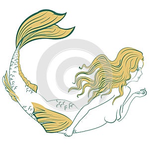 Beautiful mermaid photo