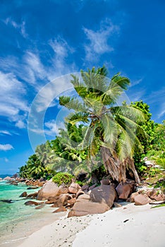 Beautiful Seychelle Island. Praslin tropical colors