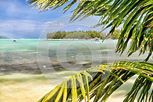 Beautiful Seychelle Island. Praslin tropical colors