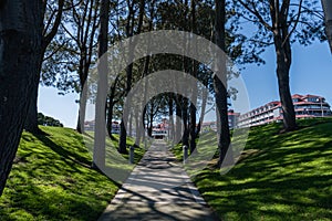 Beautiful shaded alley vista at the Lantern Bay park in Dana Point, California