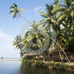 Beautiful shades of blue at Cola Beach, Goa, India