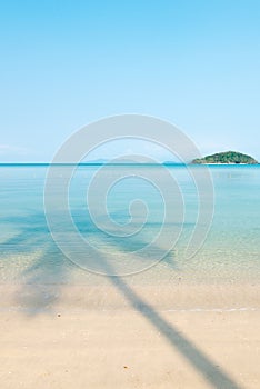 Beautiful shadow of palm tree on the blue sea in summer. Relaxation tropical seascape. Sunshine day. Koh Mak Island, Trat,