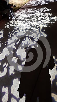 beautiful shadow will always follow you