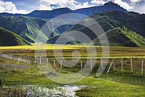 Beautiful shangri-la