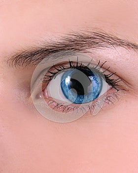 Beautiful shape of female eye