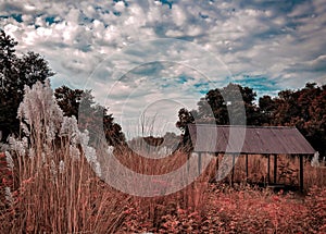 Beautiful Shed Shelter in fields