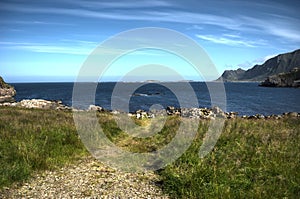 Beautiful sheep grazing near blue summer ocean