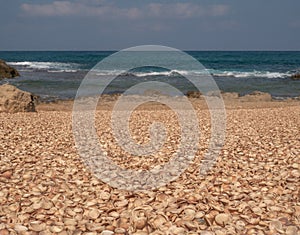 A beautiful shells beach