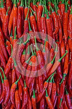 Beautiful shining red cayenne pepper