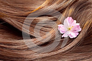 Beautiful shiny hair texture with a flower