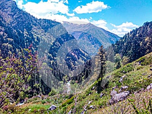 Beautiful Shivalik Himalaya , Uttrakhand , nature and forest, Indian mountain
