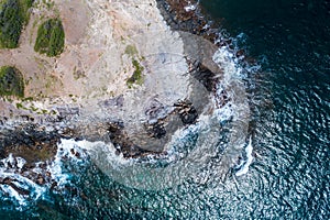 The Beautiful Shores of Maui Hawaii