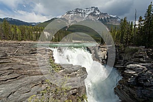 Beautiful shot of the Athabasca Falls surrounded by green trees in Alberta Canada