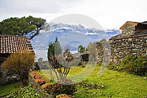 Beautiful shot of a backyard with trees and plants near a house with a mountain in the background