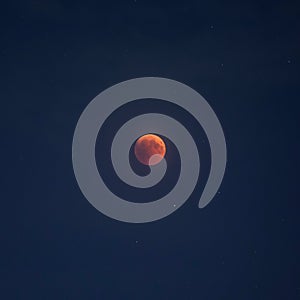 Beautiful shot of the Blood Moon in a starry night - great for a cool background