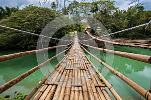 Beautiful shot of Bohol Hanging Bridge in the Philippines during daytime photo