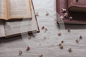 Beautiful shot of books and dried cherry blossoms on a white surface