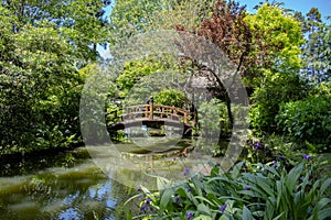 Beautiful shot of a bridge over a river in Jardin Japones garden located in Montevideo Uruguay photo