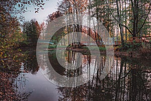 Beautiful shot of a bridge over a river with trees reflecting in the water in a park