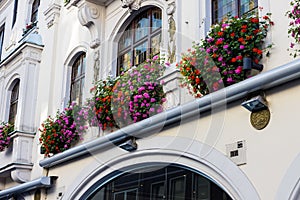 Beautiful shot of the building with flowers on windows in Dusseldorf, Germany
