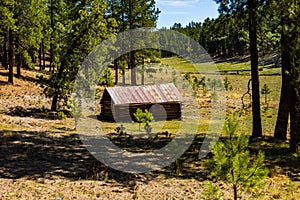 Beautiful shot of a cabin way out in the woods in Jemez, USA