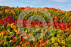 Beautiful shot of colorful autumn trees in Letchworth Park, New York