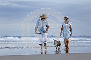 Beautiful shot of a couple on the beach with blue English Stafford dog