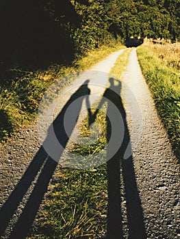 Beautiful shot of a couple\'s shadow holding each other hands - romantic concept