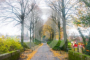 Beautiful shot of a dreamy landscape with a road path photo