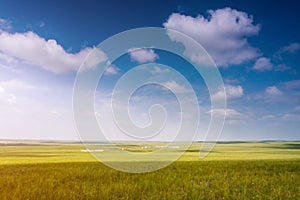 Beautiful shot of an empty green field under a blue sky