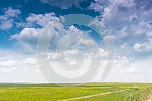 Beautiful shot of an empty green field under a blue sky