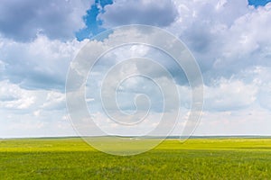 Beautiful shot of an empty green field under a blue sky