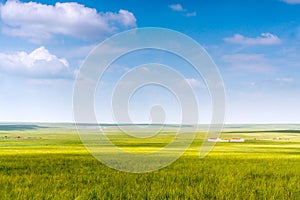 Beautiful shot of an empty green field under a blue sky