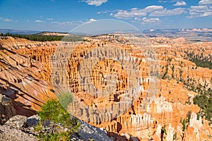 Beautiful shot of the famous Bryce Canyon National Park in Utah, USA on a clear sky background