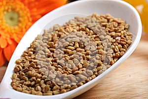 Fenugreek seeds photo