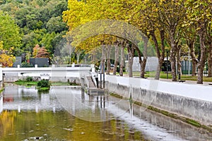 Beautiful shot of the flowing green river Lis with autumn trees on the shore in Leiria, Portugal