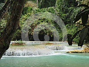 Beautiful shot of a flowing stream in the middle of the forest