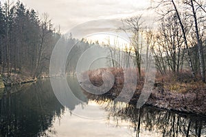 Beautiful shot of a gloomy lake in a forest at sunrise