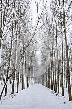 A beautiful shot of Goynuk during winter season