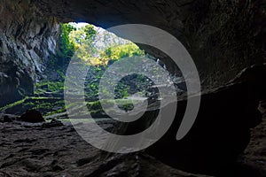 Beautiful shot of Gruta de Totomochapa in Mexico photo