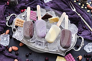Beautiful shot of home-made vegan icecreams and chocolate bars on ice cubes in a metal plate