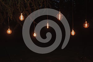 Beautiful shot of illuminated light bulbs hanging on a tree at night time