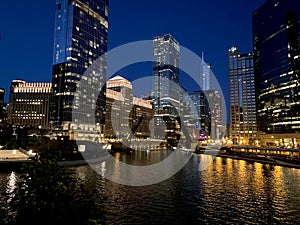 Beautiful shot of illuminated skyscrapers near the sea at night in Chicago