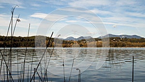 Beautiful shot of a lake Banyoles in Catalonia